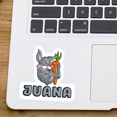 Rabbits Sticker Juana Gift package Image