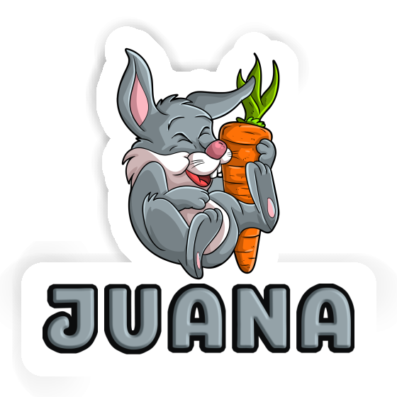 Rabbits Sticker Juana Gift package Image