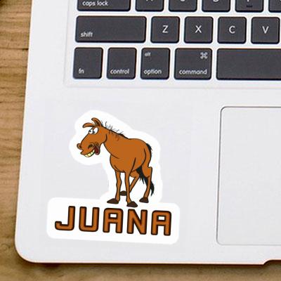 Autocollant Cheval Juana Laptop Autocollant Cheval Juana Laptop Image
