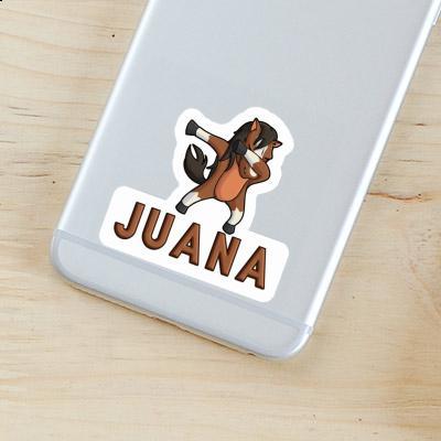 Autocollant Juana Cheval Notebook Autocollant Juana Cheval Gift package Image