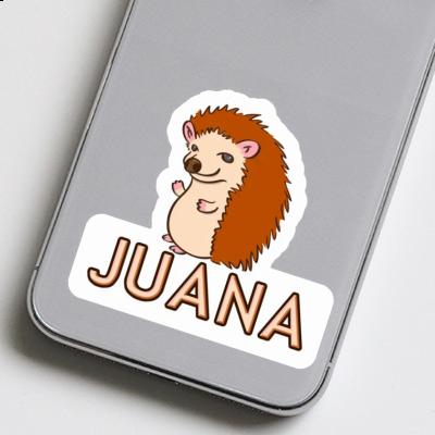 Juana Sticker Hedgehog Notebook Image