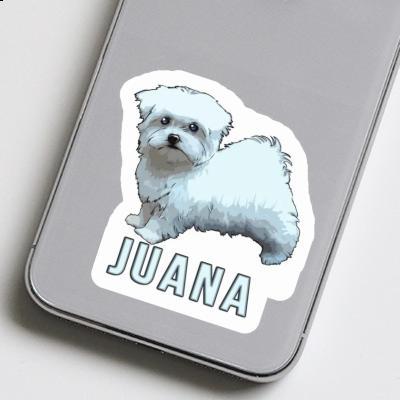 Juana Sticker Malteserhund Laptop Image