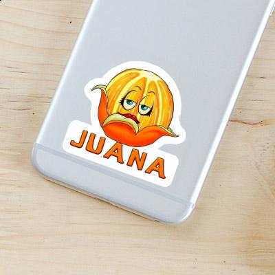 Orange Sticker Juana Laptop Image
