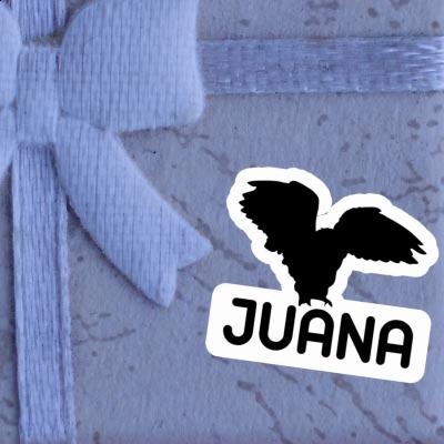 Eule Aufkleber Juana Eule Aufkleber Juana Image