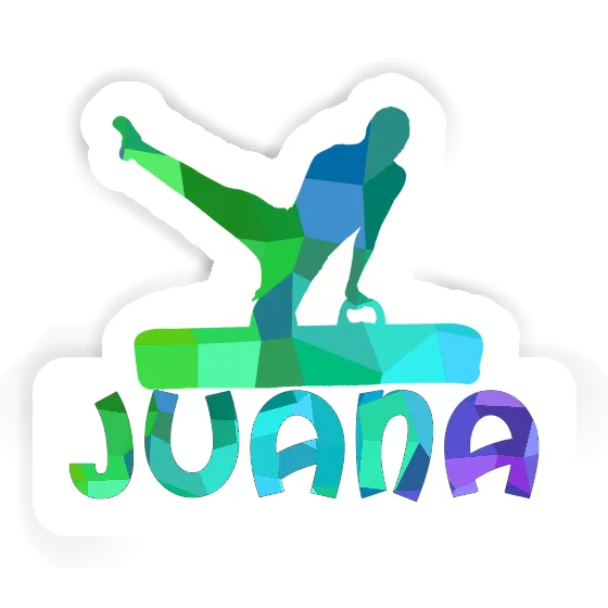 Juana Sticker Turner Gift package Image