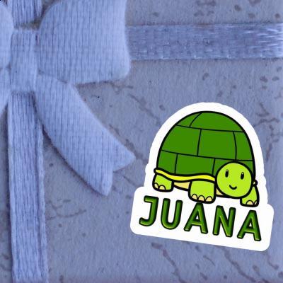 Autocollant Tortue Juana Gift package Image