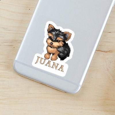 Yorkie Autocollant Juana Laptop Yorkie Autocollant Juana Laptop Image