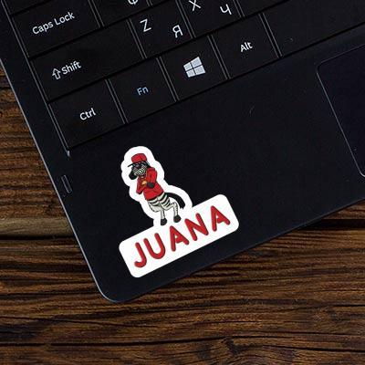 Sticker Juana Zebra Notebook Sticker Juana Zebra Gift package Image