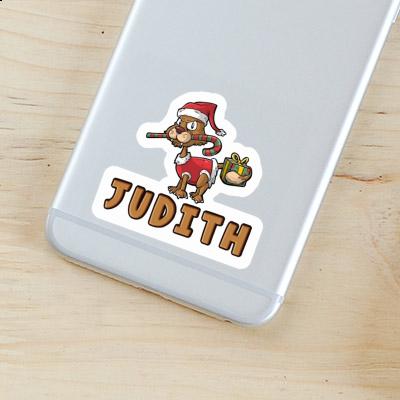 Weihnachtskatze Aufkleber Judith Gift package Image