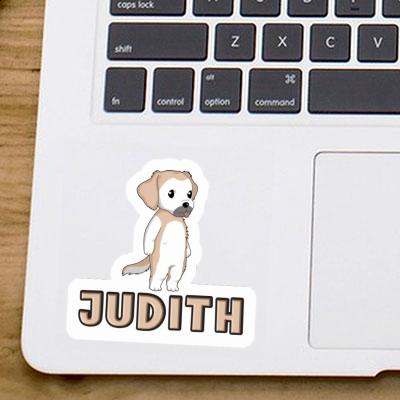Judith Sticker Golden Retriever Notebook Judith Sticker Golden Retriever Gift package Image