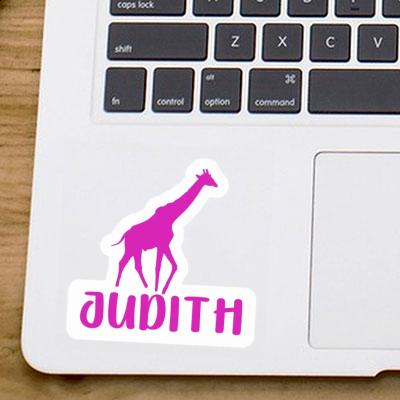 Autocollant Judith Girafe Gift package Image