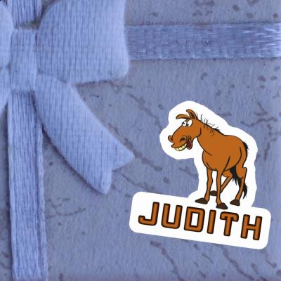 Judith Sticker Horse Notebook Judith Sticker Horse Gift package Image