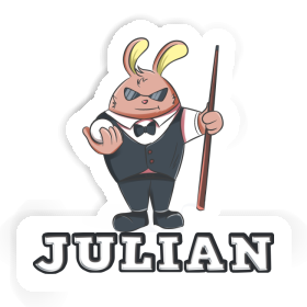 Sticker Julian Billiards Player Image