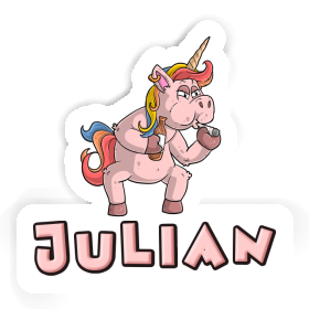 Julian Sticker Smoker Image