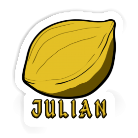 Julian Sticker Nut Image