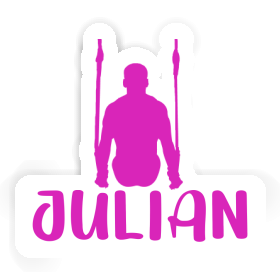Julian Sticker Ring gymnast Image