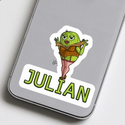 Julian Sticker Kiwi Notebook Julian Sticker Kiwi Gift package Image