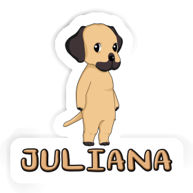 Autocollant Juliana Rhodesian Ridgeback Image