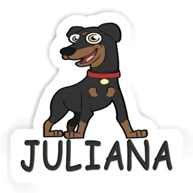 Sticker German Pinscher Juliana Image