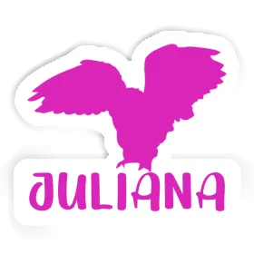 Sticker Owl Juliana Image