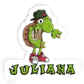 Hip Hop Turtle Sticker Juliana Image