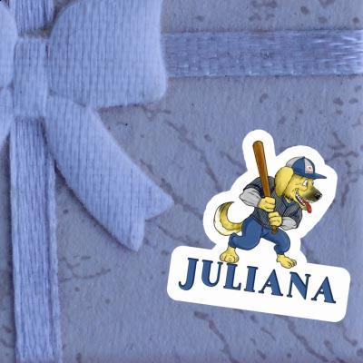 Baseball Dog Sticker Juliana Gift package Image