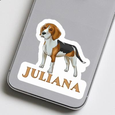 Beagle Autocollant Juliana Gift package Image