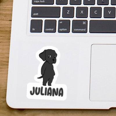 Autocollant Labrador Retriever Juliana Image