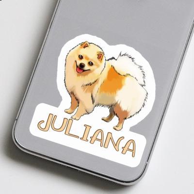 Spitz allemand Autocollant Juliana Gift package Image