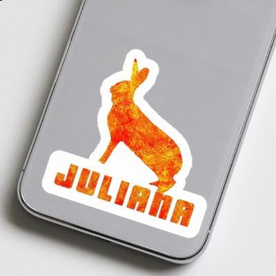 Juliana Aufkleber Hase Gift package Image