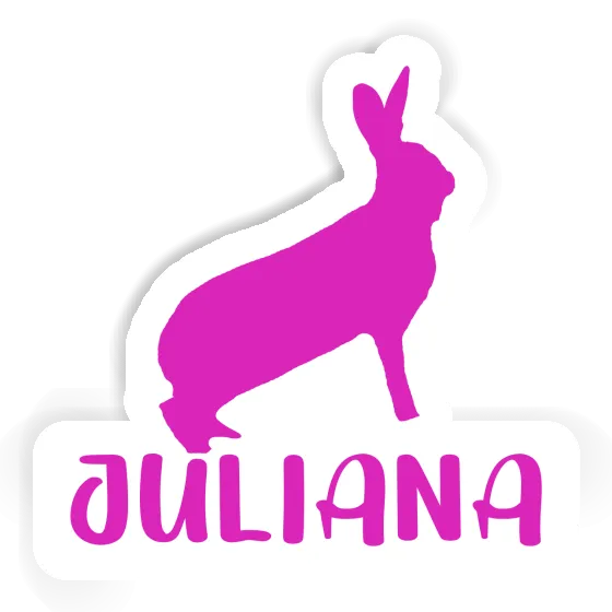 Juliana Sticker Rabbit Gift package Image