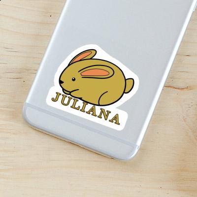 Sticker Juliana Hare Gift package Image