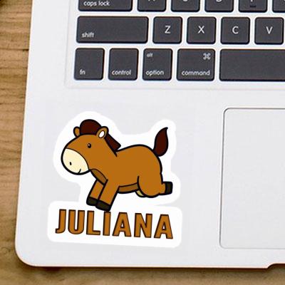 Sticker Horse Juliana Gift package Image