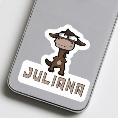 Autocollant Cheval Juliana Gift package Image