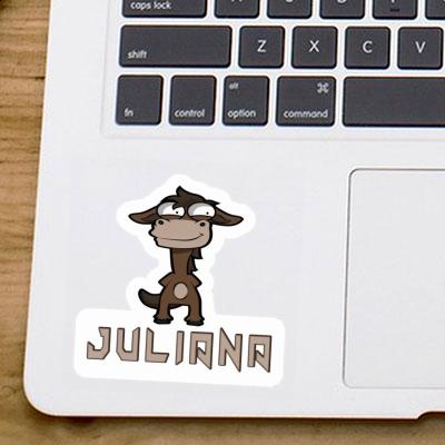 Sticker Juliana Standing Horse Gift package Image