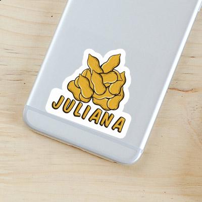 Nut Sticker Juliana Laptop Image