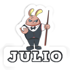 Julio Sticker Billiards Player Image