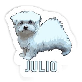 Sticker Maltese Dog Julio Image