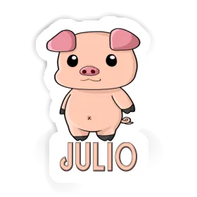 Julio Sticker Piggy Image
