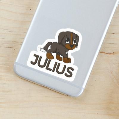 Sticker Bernese Mountain Dog Julius Gift package Image