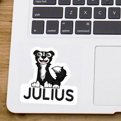 Julius Autocollant Border Collie Laptop Image