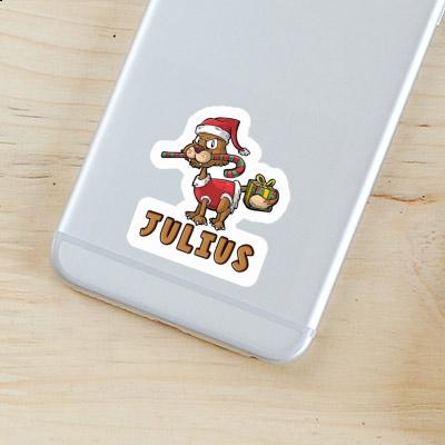 Sticker Julius Weihnachtskatze Gift package Image