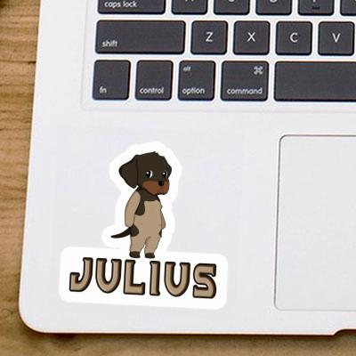 Chien d'arrêt allemand à poil du Autocollant Julius Image