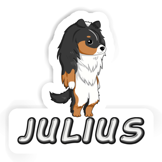 Sticker Sheltie Julius Gift package Image