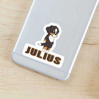 Sticker Bernese Mountain Dog Julius Gift package Image