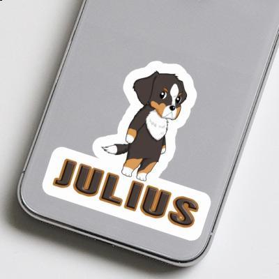 Sticker Berner Sennenhund Julius Gift package Image