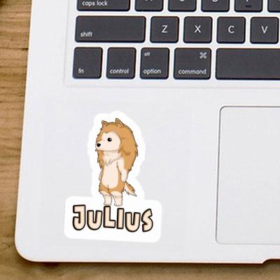 Sticker Julius Collie Laptop Image