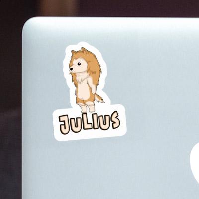 Sticker Julius Collie Gift package Image