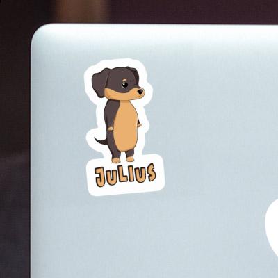 Sticker Julius Dachshund Laptop Image