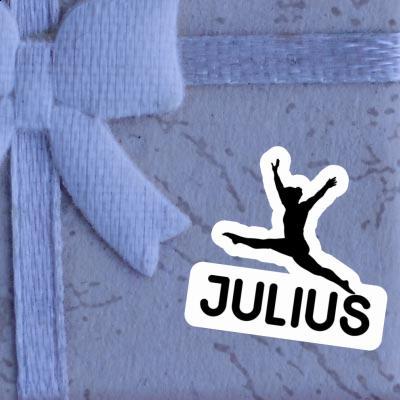 Aufkleber Julius Gymnastin Gift package Image